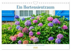 Cover Ein Hortensientraum (Wandkalender 2026 DIN A4 quer), CALVENDO Monatskalender