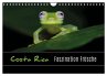 Costa Rica - Faszination Frösche... - Bild 1