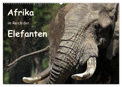 Afrika - im Reich der Elefanten (Wandkalender 2026 DIN A2 quer), CALVENDO Monatskalender Afrika - im Reich der Elefanten (Wandkalender 2026 DIN A2 quer), CALVENDO Monatskalender