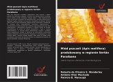 Miód pszczeli (Apis mellifera) produkowany w regionie Sertão Paraibano Miód pszczeli (Apis mellifera) produkowany w regionie Sertão Paraibano