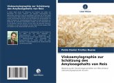 Viskoamylographie zur Schätzung des Amylosegehalts von Reis Viskoamylographie zur Schätzung des Amylosegehalts von Reis