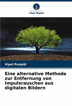 Cover Eine alternative Methode zur Entfernung von Impulsrauschen aus digitalen Bildern