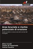 Aree bruciate e rischio potenziale di erosione