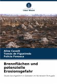 Brennflächen und potenzielle Erosionsgefahr