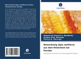 Bienenhonig (Apis mellifera) aus dem Hinterland von Paraíba Bienenhonig (Apis mellifera) aus dem Hinterland von Paraíba