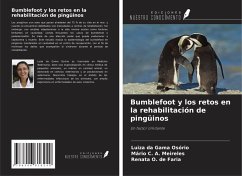 Cover Bumblefoot y los retos en la rehabilitación de pingüinos