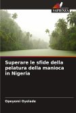 Superare le sfide della pelatura della manioca in Nigeria
