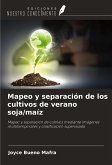 Mapeo y separación de los cultivos de verano soja/maíz Mapeo y separación de los cultivos de verano soja/maíz