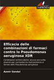 Efficacia delle combinazioni di farmaci contro lo Pseudomonas aeruginosa XDR Efficacia delle combinazioni di farmaci contro lo Pseudomonas aeruginosa XDR