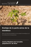 Ensilaje de la parte aérea de la mandioca Ensilaje de la parte aérea de la mandioca