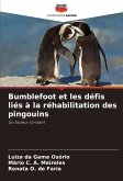 Bumblefoot et les défis liés à la réhabilitation des pingouins Bumblefoot et les défis liés à la réhabilitation des pingouins