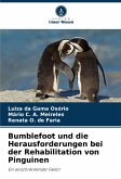 Bumblefoot und die Herausforderungen bei der Rehabilitation von Pinguinen