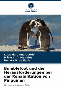 Cover Bumblefoot und die Herausforderungen bei der Rehabilitation von Pinguinen