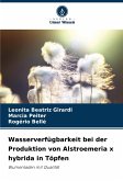 Wasserverfügbarkeit bei der Produktion von Alstroemeria x hybrida in Töpfen Wasserverfügbarkeit bei der Produktion von Alstroemeria x hybrida in Töpfen