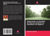 Superando os desafios do descascamento da mandioca na Nigéria Superando os desafios do descascamento da mandioca na Nigéria