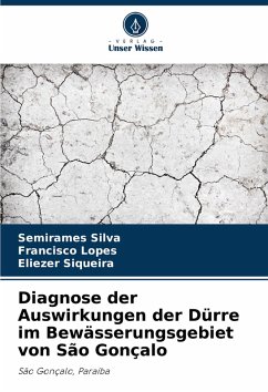 Cover Diagnose der Auswirkungen der Dürre im Bewässerungsgebiet von São Gonçalo