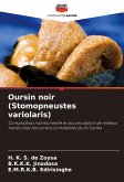 Oursin noir (Stomopneustes variolaris)