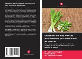 Genótipos de alho francês influenciados pela densidade de plantas Genótipos de alho francês influenciados pela densidade de plantas