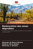 Restauration des zones dégradées