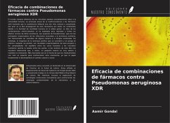 Eficacia de combinaciones de fármacos contra Pseudomonas aeruginosa XDR - Gondal, Aamir Eficacia de combinaciones de fármacos contra Pseudomonas aeruginosa XDR - Gondal, Aamir