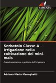 Serbatoio Classe A - Irrigazione nella coltivazione del mini-mais Serbatoio Classe A - Irrigazione nella coltivazione del mini-mais