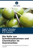 Die Rolle von Schnittmaßnahmen und Chemikalien im Guavenanbau Die Rolle von Schnittmaßnahmen und Chemikalien im Guavenanbau