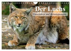 Cover Der Luchs. Pinselohren und Bernsteinaugen (Wandkalender 2026 DIN A4 quer), CALVENDO Monatskalender