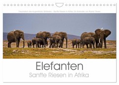 Elefanten - Sanfte Riesen in Afrika (Wandkalender 2026 DIN A4 quer), CALVENDO Monatskalender Elefanten - Sanfte Riesen in Afrika (Wandkalender 2026 DIN A4 quer), CALVENDO Monatskalender