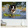 SPLASH - Hunde im Wasser (hochwertiger... - Bild 1