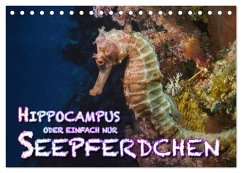 Cover Hippocampus oder einfach nur Seepferdchen (Tischkalender 2026 DIN A5 quer), CALVENDO Monatskalender