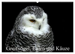 Greifvögel, Eulen und Käuze (Wandkalender 2026 DIN A2 quer), CALVENDO Monatskalender Greifvögel, Eulen und Käuze (Wandkalender 2026 DIN A2 quer), CALVENDO Monatskalender