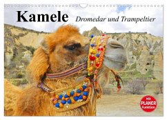 Kamele. Dromedar und Trampeltier (Wandkalender 2026 DIN A3 quer), CALVENDO Monatskalender Kamele. Dromedar und Trampeltier (Wandkalender 2026 DIN A3 quer), CALVENDO Monatskalender
