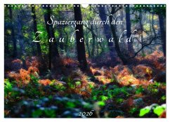 Cover Spaziergang durch den Zauberwald (Wandkalender 2026 DIN A3 quer), CALVENDO Monatskalender