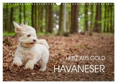 Havaneser - Herz aus Gold (Wandkalender 2026 DIN A3 quer), CALVENDO Monatskalender Havaneser - Herz aus Gold (Wandkalender 2026 DIN A3 quer), CALVENDO Monatskalender