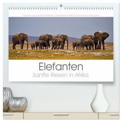 Elefanten - Sanfte Riesen in Afrika (hochwertiger Premium Wandkalender 2026 DIN A2 quer), Kunstdruck in Hochglanz Elefanten - Sanfte Riesen in Afrika (hochwertiger Premium Wandkalender 2026 DIN A2 quer), Kunstdruck in Hochglanz