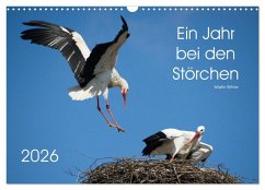 Ein Jahr bei den Störchen (Wandkalender 2026 DIN A3 quer), CALVENDO Monatskalender Ein Jahr bei den Störchen (Wandkalender 2026 DIN A3 quer), CALVENDO Monatskalender