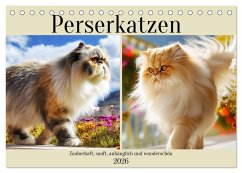 Perserkatzen. Zauberhaft, sanft, anhänglich und wunderschön (Tischkalender 2026 DIN A5 quer), CALVENDO Monatskalender