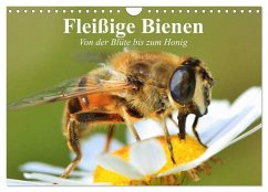 Cover Fleißige Bienen. Von der Blüte bis zum Honig (Wandkalender 2026 DIN A4 quer), CALVENDO Monatskalender