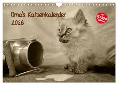 Cover Oma's Katzenkalender 2026 (Wandkalender 2026 DIN A4 quer), CALVENDO Monatskalender