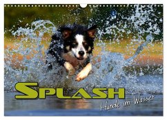 SPLASH - Hunde im Wasser (Wandkalender 2026 DIN A3 quer), CALVENDO Monatskalender SPLASH - Hunde im Wasser (Wandkalender 2026 DIN A3 quer), CALVENDO Monatskalender