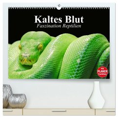 Kaltes Blut. Faszination Reptilien (hochwertiger Premium Wandkalender 2026 DIN A2 quer), Kunstdruck in Hochglanz