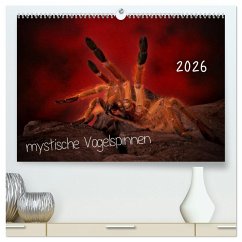 Mystische Vogelspinnen (hochwertiger Premium Wandkalender 2026 DIN A2 quer), Kunstdruck in Hochglanz