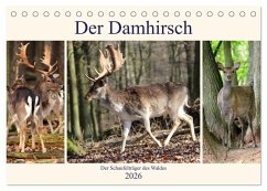 Der Damhirsch - Der Schaufelträger des Waldes (Tischkalender 2026 DIN A5 quer), CALVENDO Monatskalender Der Damhirsch - Der Schaufelträger des Waldes (Tischkalender 2026 DIN A5 quer), CALVENDO Monatskalender