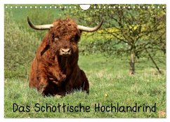 Cover Das Schottische Hochlandrind (Wandkalender 2026 DIN A4 quer), CALVENDO Monatskalender