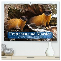 Frettchen und Marder. Frech, witzig, niedlich (hochwertiger Premium Wandkalender 2026 DIN A2 quer), Kunstdruck in Hochglanz