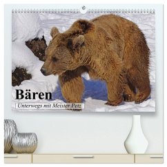Bären. Unterwegs mit Meister Petz (hochwertiger Premium Wandkalender 2026 DIN A2 quer), Kunstdruck in Hochglanz