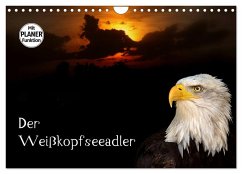 Der Weißkopfseeadler (Wandkalender 2026 DIN A4 quer), CALVENDO Monatskalender Der Weißkopfseeadler (Wandkalender 2026 DIN A4 quer), CALVENDO Monatskalender