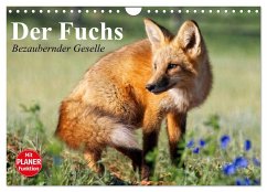 Cover Der Fuchs. Bezaubernder Geselle (Wandkalender 2026 DIN A4 quer), CALVENDO Monatskalender