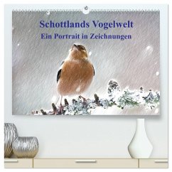 Schottlands Vogelwelt - Ein Porträt in Zeichnungen (hochwertiger Premium Wandkalender 2026 DIN A2 quer), Kunstdruck in Hochglanz