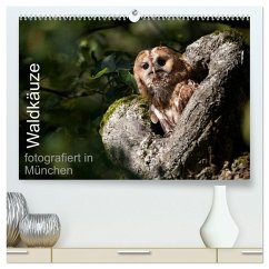 Waldkäuze, fotografiert in München (hochwertiger Premium Wandkalender 2026 DIN A2 quer), Kunstdruck in Hochglanz Waldkäuze, fotografiert in München (hochwertiger Premium Wandkalender 2026 DIN A2 quer), Kunstdruck in Hochglanz